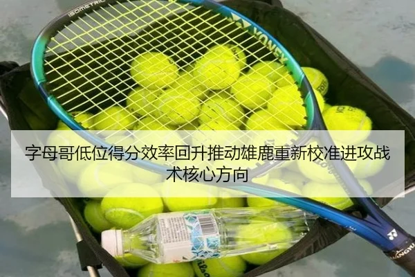 img_1783961741638_691_0_956.jpg